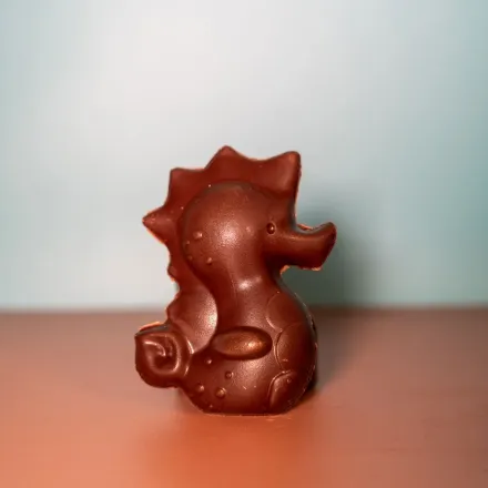 Produit - Hippocampe praliné croustillant