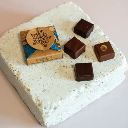 Produit - Écrin convives – Chocolats Artisanaux à Offrir – Criollos