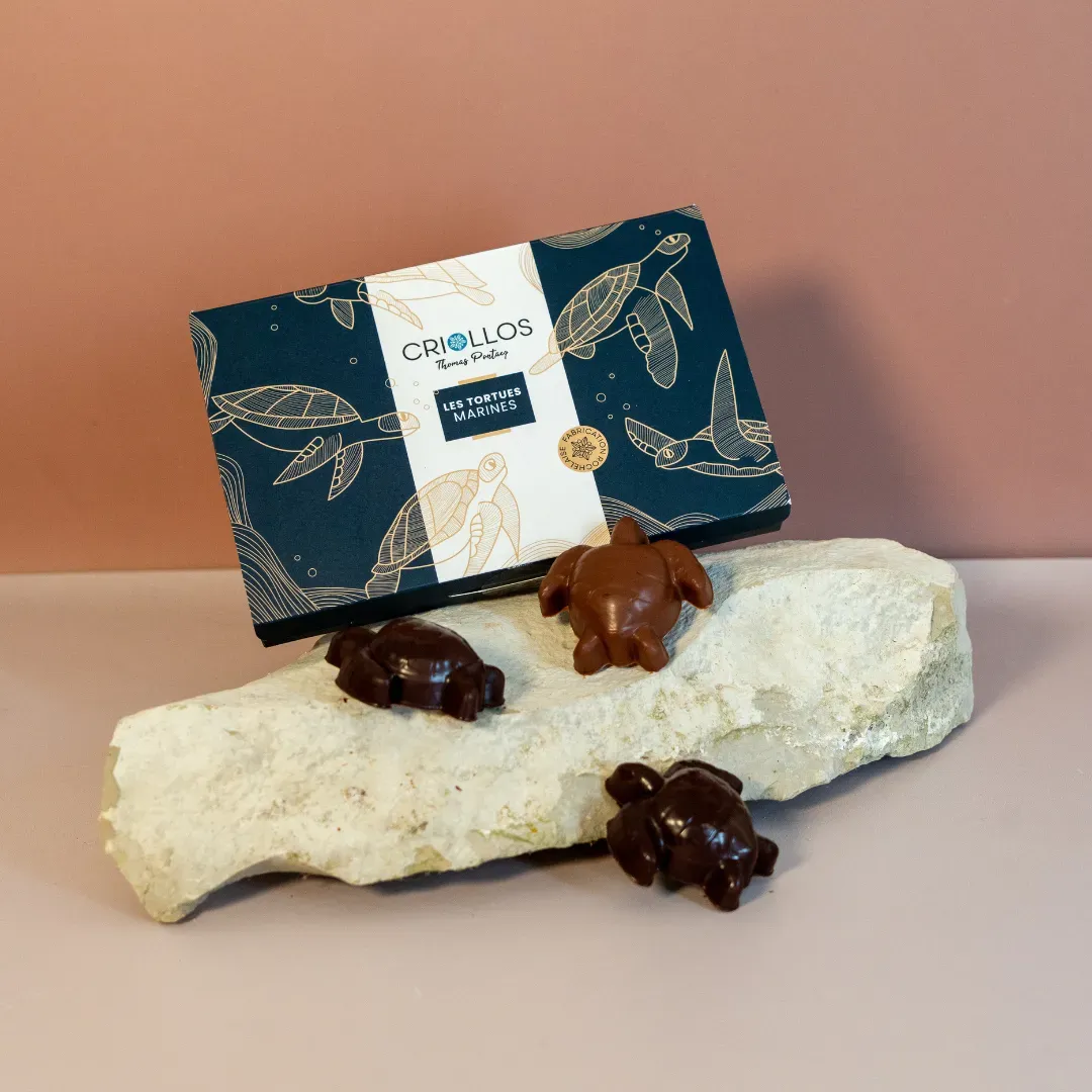 Coffret 6 Tortues Marines – Chocolat Solidaire – Criollos