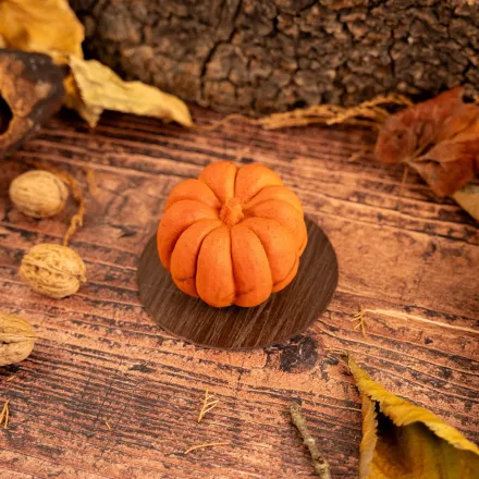 Produit - Courge en chocolat – Gianduja noisettes | Criollos