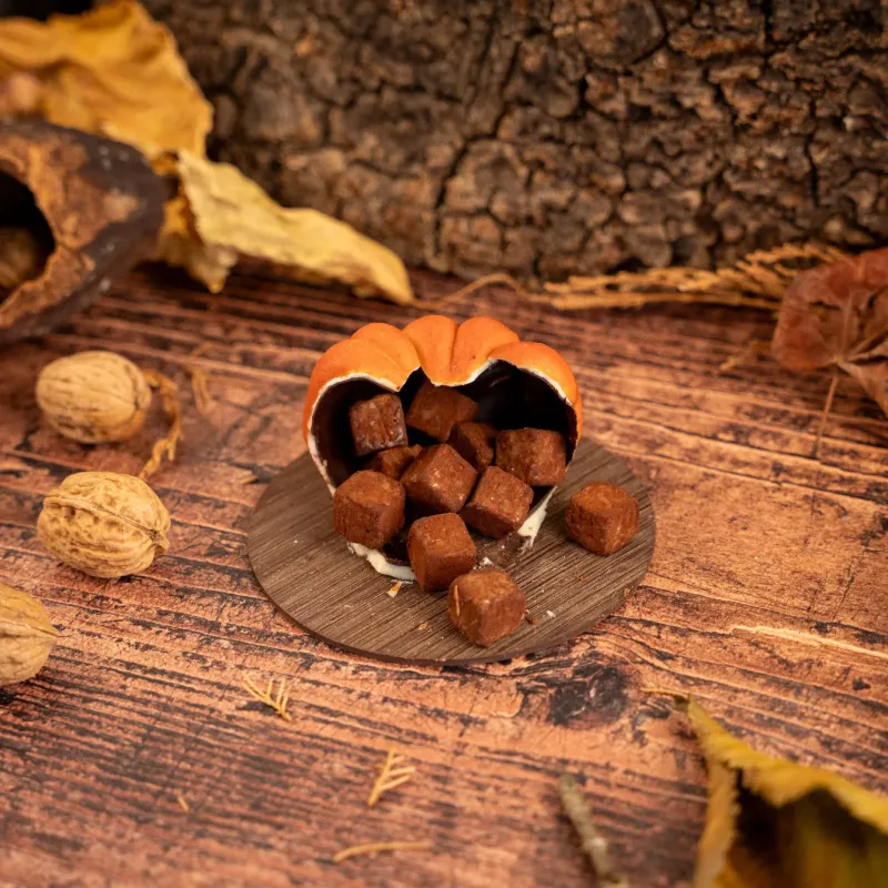 Courge en chocolat – Gianduja noisettes | Criollos Courge en chocolat – Gianduja noisettes | Criollos