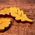 Feuille D'Automne en chocolat | Criollos Feuille D'Automne en chocolat | Criollos