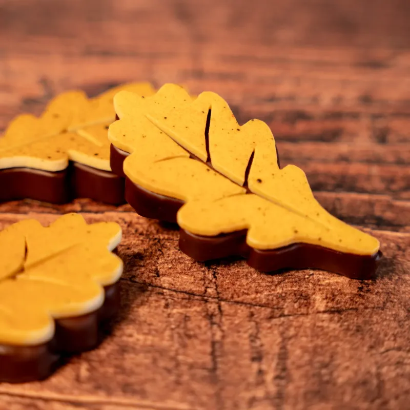 Feuille D'Automne en chocolat | Criollos Feuille D'Automne en chocolat | Criollos