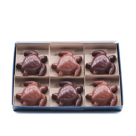 Produit - Coffret 6 Tortues Marines – Chocolat Solidaire – Criollos